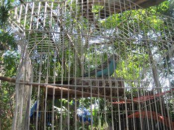 Yucatan Mayan Retreat Ecohotel And Camping ชิทเชน-อิทซา ภายนอก รูปภาพ